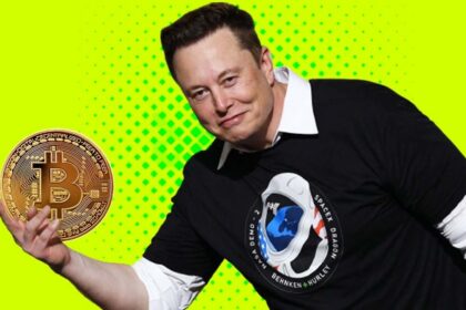 فاواپرس - قیمت بیت کوین و اتریوم بالا به نظر می‌رسند