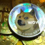 فاواپرس - ایلان ماسک: دوج کوین در برابر بیت کوین پیروز خواهد شد!