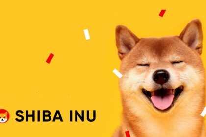 فاواپرس - ارز دیجیتال شیبا (SHIB) چیست؟ با قاتل دوج کوین آشنا شوید!