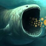 فاواپرس - نهنگ‌ها نیمی از کل معاملات بیت کوین را در اختیار دارند!