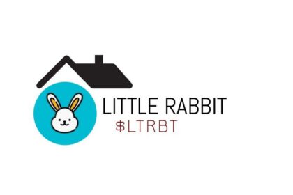 فاواپرس - ارز دیجیتال لیتل ربیت (LTRBT) چیست و چگونه LITTLE RABBIT بخریم؟ + قیمت لحظه‌ای
