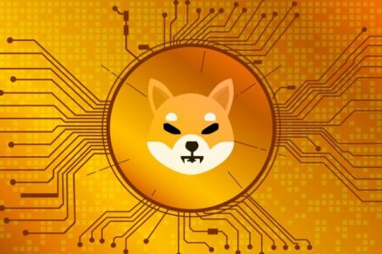 فاواپرس - پیش‌بینی قیمت شیبا / آیا ارز دیجیتال شیبا مجددا صعودی می‌شود؟