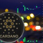 فاواپرس - 70 درصد از دارندگان کاردانو در ضرر هستند