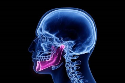 فاواپرس - دانشمندان بخش جدیدی از بدن را کشف کردند