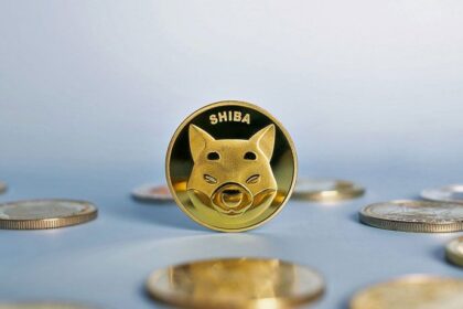 فاواپرس - ارزش بازار شیبا کمترین میزان در یک هفته اخیر رسید