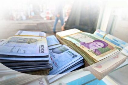 فاواپرس - ثبت نام یارانه بدون محدودیت آغاز شد