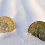فاواپرس - بازار بیت کوین به این زودی‌ها بهبود پیدا نمی‌کند