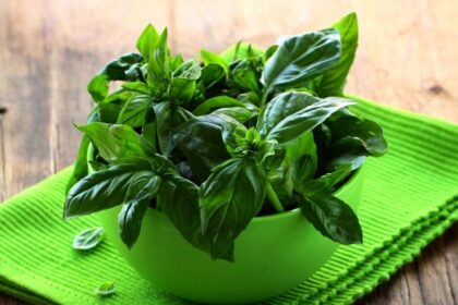 فاواپرس - 10 گیاه شفابخش برای فشار خون بالا
