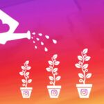 فاواپرس - امکان کسب درآمد از طریق استوری و لایو اینستاگرام