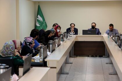 فاواپرس - سازمان نصر تهران: طرح صیانت به شیوه‌های مختلف در حال اجراست