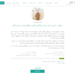 فاواپرس - راه‌اندازی کارزار درخواست جبران خسارت قطع اینترنت هنگام برگزاری کنکور