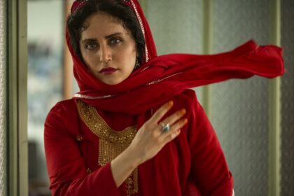 فاواپرس - ادامه فروش موفق سینما با ورود سازندگان پوست شیر