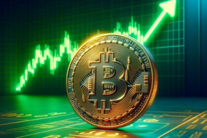 فاواپرس - بیت کوین هشتمین دارایی باارزش جهان شد