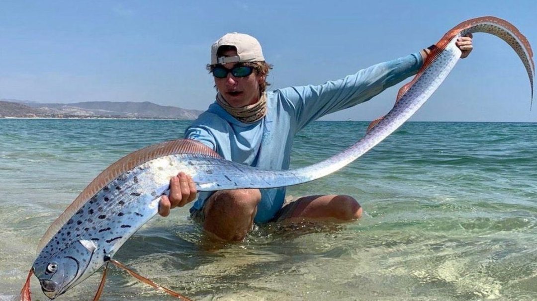 ماهی روز قیامت دوباره دیده شد؛ آیا اتفاقات بدی در پیش است؟