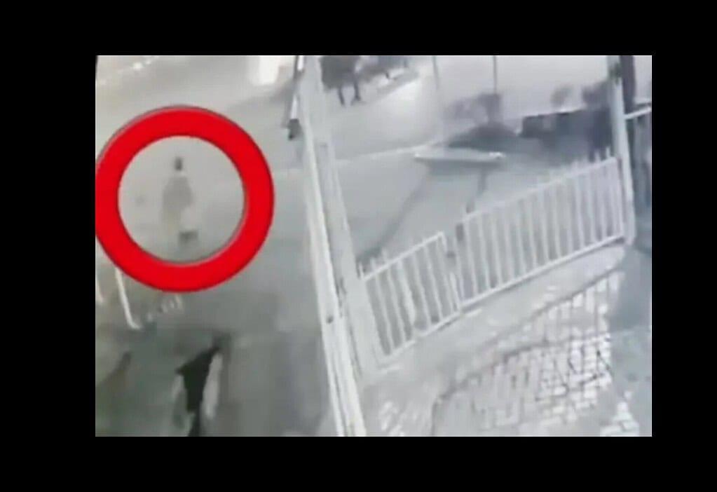 دستگیری عوامل قتل دانشجوی دانشگاه تهران؛ اعترافات اولیه متهمان و جزییات جدید از صحنه جرم قتل «امیر محمد خالقی» دانشجوی دانشگاه تهران