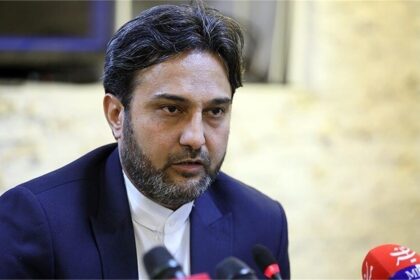عباس محمدیان وزارت ارشاد با تبلیغات روی پلتفرم‌های خارجی برخورد می‌کند